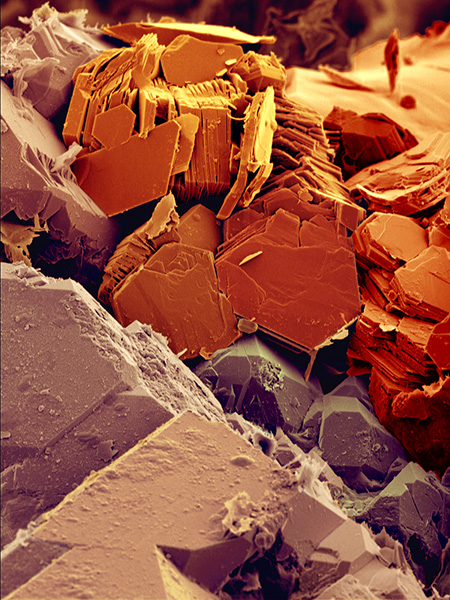SUBJECT: Minerals occurring in a sandstone rock; CREDIT: Gavin Miller, Queensland University of Technology; METHOD/INSTRUMENT: JEOL 7001 FEGSEM