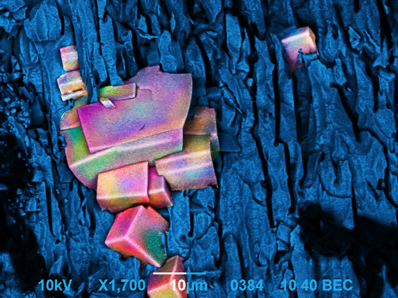SUBJECT: nanoart; CREDIT: Jan Suchikova and Sergei Kovachovm, Berdyansk State Pedagogical University; METHOD/INSTRUMENT: JEOL JSM-6490 - Cubic indium oxide. Nanostructures have been obtained on the surface of indium phosphide.
