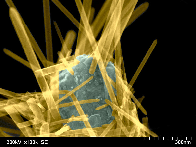 TITLE: Nanofireball; SUBJECT: ZnO nanorods grown on the CuO nanosphere; CREDIT: Ulugbek Shaislamov, Jeju National University, Korea; METHOD/INSTRUMENT: JEM-2100F