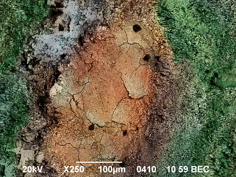 TITLE: Drought; SUBJECT: Surface morphology of porous gallium arsenide; CREDIT: Sergey and Alexander Simchenko, SSTehnology; METHOD/INSTRUMENT: JEOL JSM-6490 