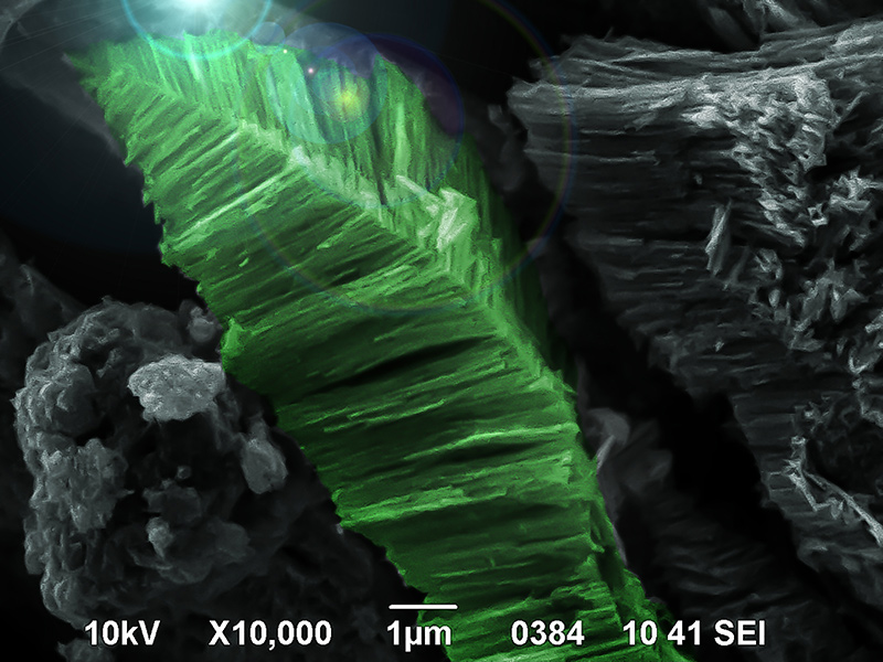 SUBJECT: The image of indium phosphide nanocrystalline surface obtained by electrochemical etching. Microphotograph is made with scanning electronic microscope and coloured with the computer graphic tools. Magnification x10000.; CREDIT: Yana Suchikova and Sergei Kovachev, Berdyansk State Pedagogical University; METHOD/INSTRUMENT: JEOL JSM-6490