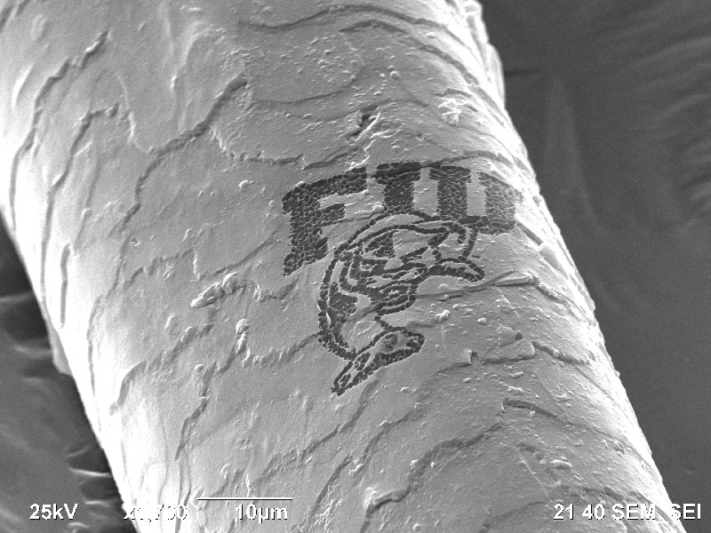 SUBJECT: FIU logo was engraved on a hair strand in order to demonstrate the capability of a dual beam fib instrument to a group of visitors; CREDIT: Ali Hadjikhani, AMERI / FIU; METHOD/INSTRUMENT: FIB milling / JEOL JIB 4500 dual beam