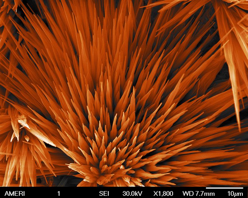 SUBJECT: magnetic nano-particles overgrown on a piece of silicon wafer; CREDIT: Ali Hadjikhani, AMERI- FIU;