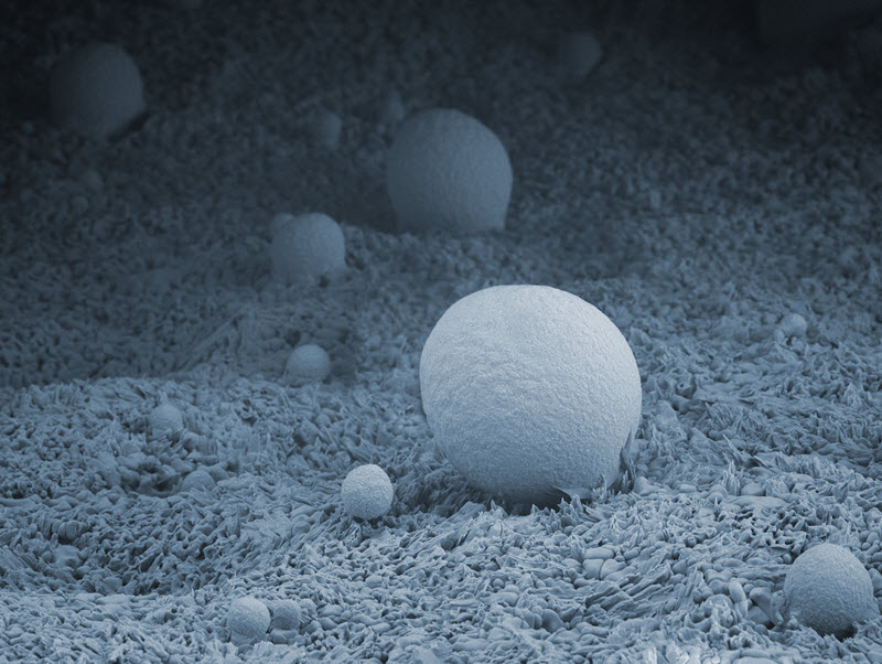 SUBJECT: Iron droplets on an alumina substrate; CREDIT: Ezra Feilden, Imperial College London; METHOD/INSTRUMENT: JEOL 6010LA. Droplets of iron form from a CVD process and solidify without wetting the alumina substrate.