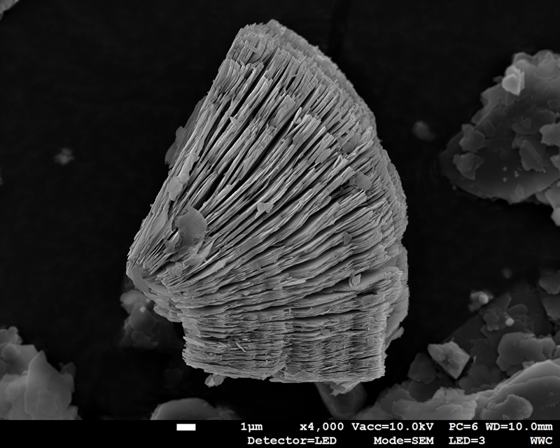SUBJECT: Single kaolinite particle from a kaolin clay powder with a beautiful layered structure; CREDIT: Johannes T. Kehren, Hochschule Koblenz; METHOD/INSTRUMENT: JEOL JSM 7200F