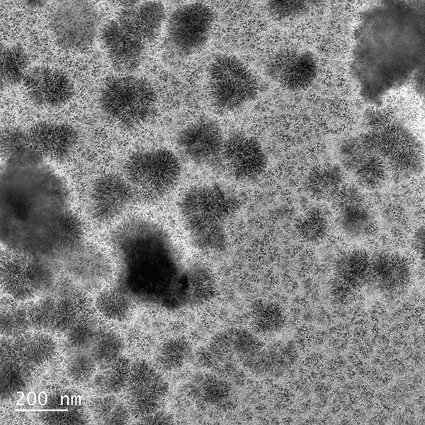 SUBJECT: Self-assembling of proteins from the squid's beak into densely packed protein droplets observed by in situ liquid TEM; CREDIT: Hortense Le Ferrand, Nanyang Technological University; METHOD/INSTRUMENT: JEOL JEM-ARM200F TEM