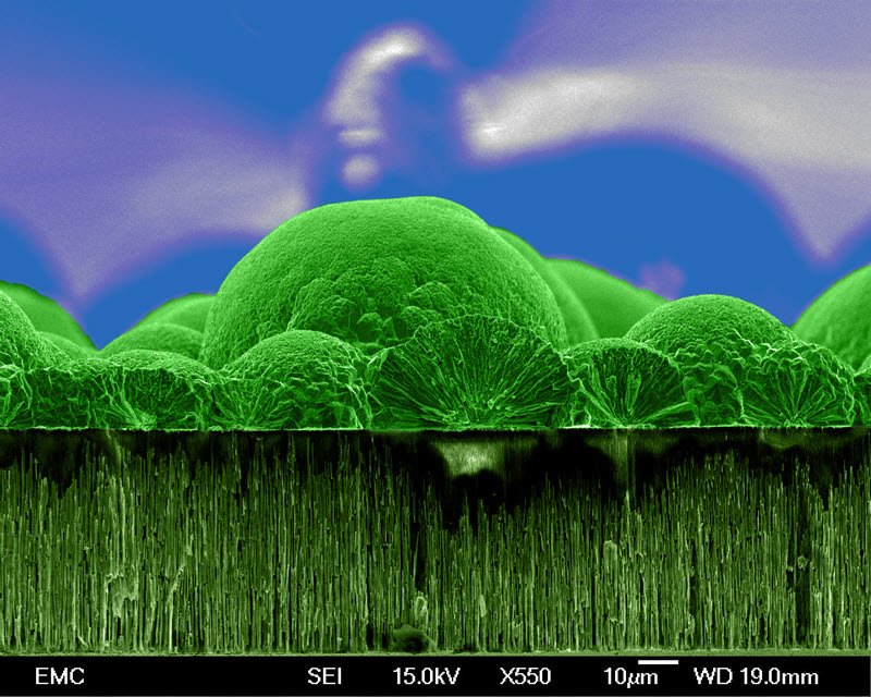 SUBJECT: Cross section image of copper nanowires electrochemically synthesised into AAO template; CREDIT: Maria de Lourdes Gonzalez-Juarez, University of Southampton; METHOD/INSTRUMENT: JEOL JSM 6500F