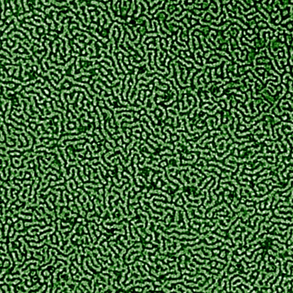 TITLE: Can you find your way out? SUBJECT: Colorized TEM image of polymeric nanoworms arranged in a maze-like conformation developed via aqueous polymerization-induced self-assembly (PISA); CREDIT: Spyridon Varlas, University of Sheffield; METHOD/INSTRUMENT: JEOL JEM-2100 TEM