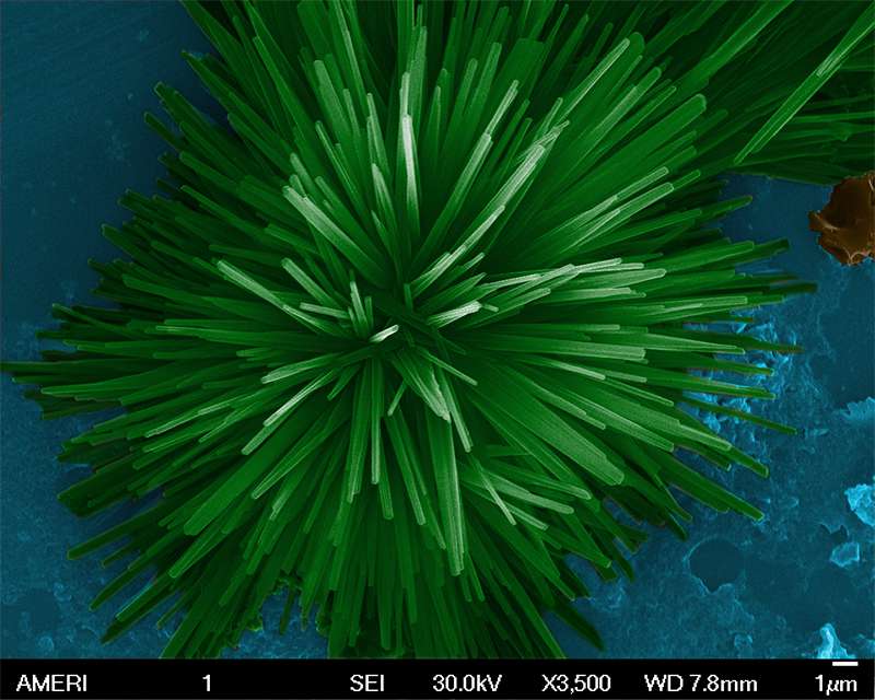 SUBJECT: overgrown nanoparticles on a silicon wafer; CREDIT: Ali Hadjikhani - AMERI/FIU; METHOD/INSTRUMENT: JEOL 6330 FE SEM