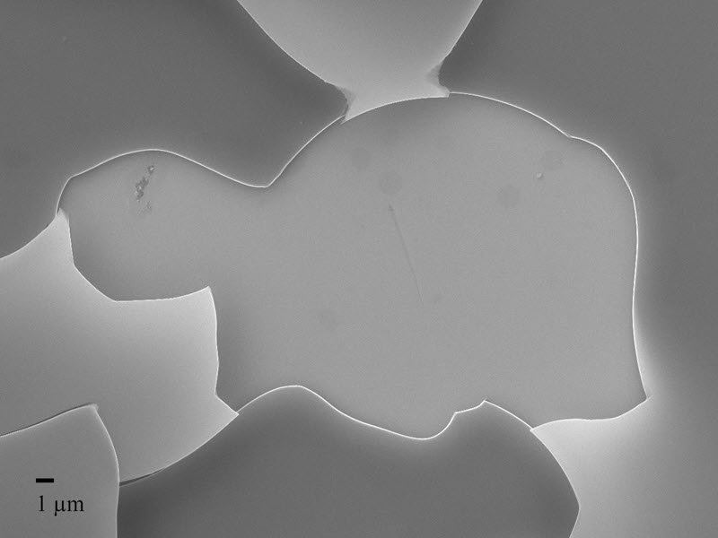 TITLE: µturtle; SUBJECT: Missing flake of a Diamond-like amorphous carbon thin film.; CREDIT: Cauê Nogueira, Universidade Federal Fluminense; METHOD/INSTRUMENT: JEOL JSM-7100F