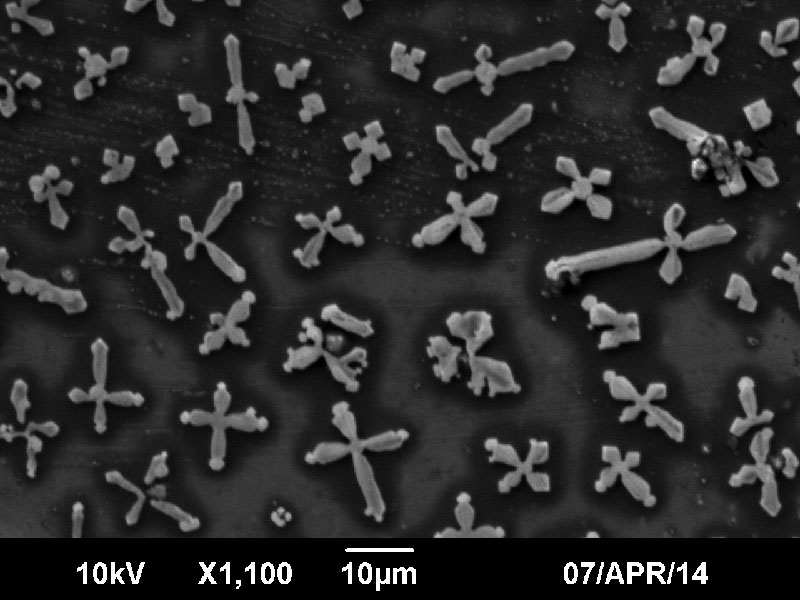 SUBJECT: [PMMA+BaTiO3+ Graphene] composite thick films; CREDIT: Mobeen Haneef - NUST H-12 ISLAMABAD; METHOD/INSTRUMENT: SEM used at 10kV and at 1100x magnification - JSM-6490LA