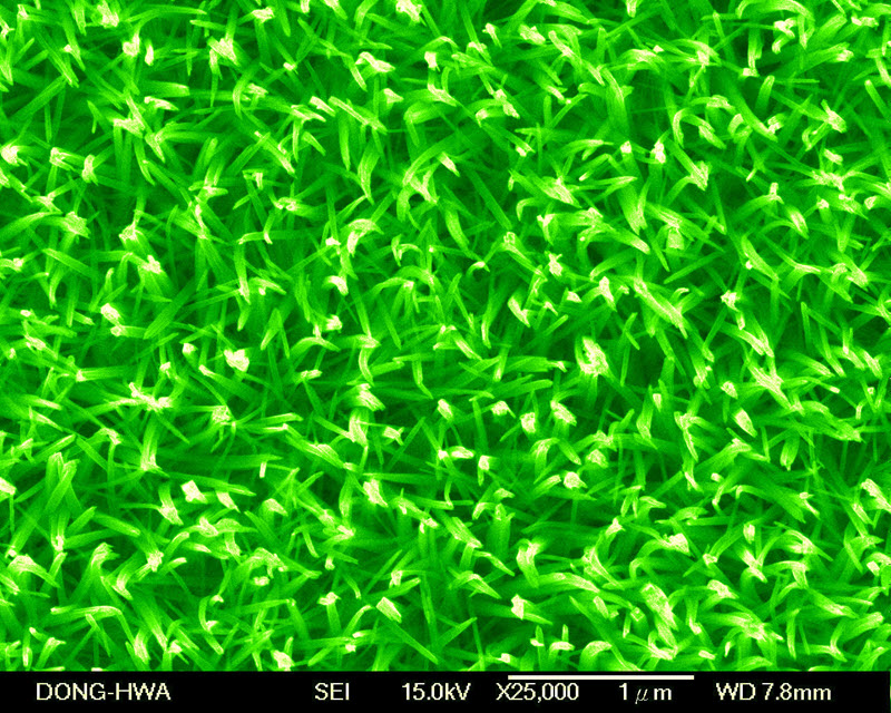 SUBJECT: An exotic one dimensional nanograss emanated from a single nucleation center exhibiting 1µm length, provides large surface area & assists improvement in charge separation and transportation in energy conversion and storage devices.; CREDIT: Tejasvinee S. Bhat et al, Shivaji University, Indian Institute of Technology Indore, National Dong Hwa University; METHOD/INSTRUMENT: JEOL JSM-6500F