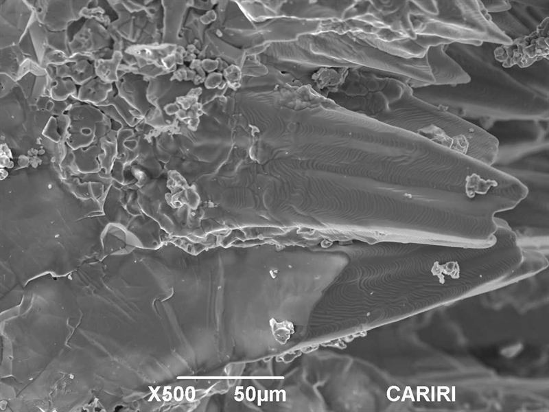 SUBJECT: Iron oxide crystals formed due to overheating of gas nozzle aperture in a power plant. ; CREDIT: Marco Nunes, Caribbean Industrial Research Institute; METHOD/INSTRUMENT: JSM-6490LV