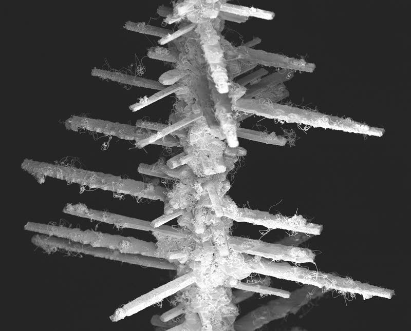 SUBJECT: Alumina crystallites; CREDIT: Ezra Feilden, Imperial College London; METHOD/INSTRUMENT: JEOL 6010