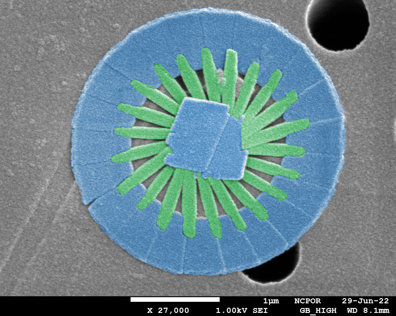 TITLE: Plankton Wheel; SUBJECT: A calcareous nanoplankton from the Southern Indian Ocean; CREDIT: Sahina Gazi, National Centre for Polar and Ocean Research (NCPOR), Goa; METHOD/INSTRUMENT: JEOL JSM-7610F FESEM