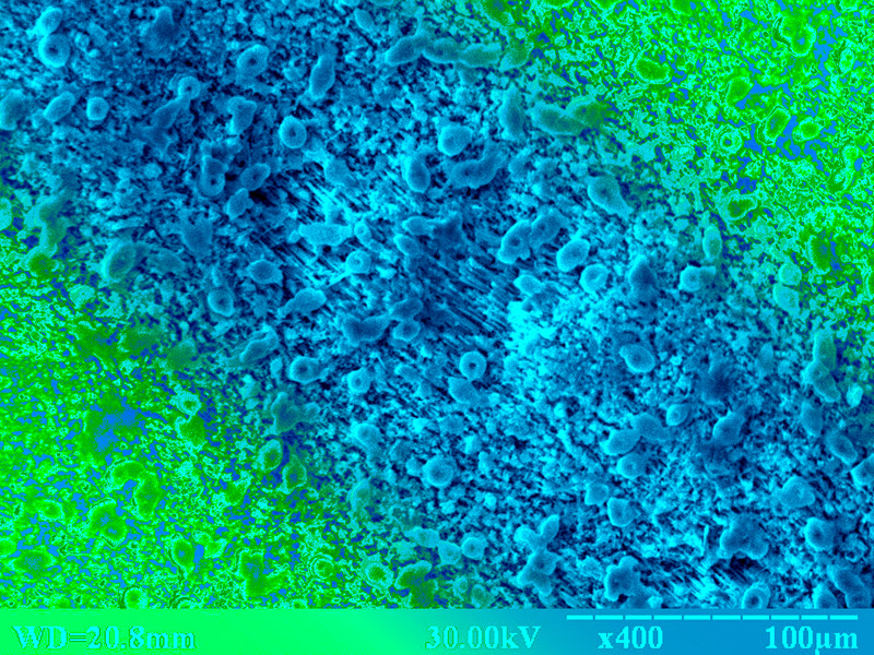 SUBJECT: Surface morphology of porous gallium arsenide obtained by electrochemical etching; CREDIT: Sergey and Alexander Simchenko, SSTehnology; METHOD/INSTRUMENT: JEOL JSM-6490 