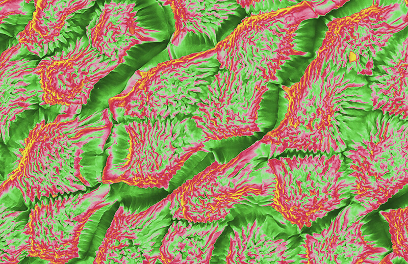 SEM/TEM/EPMA | Image Contest Grand Prize Winners | 2022