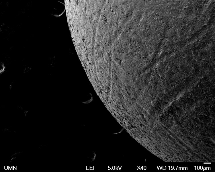 SUBJECT: Wear marks on PTFE ball bearing; CREDIT: Nicholas Seaton, University of Minnesota Characterization Facility; METHOD/INSTRUMENT: JEOL JSM-6700F - The goal of the work was to look at the surface roughness of several different ball bearing materials. This image reminded me of Saturn's moon Enceladus.