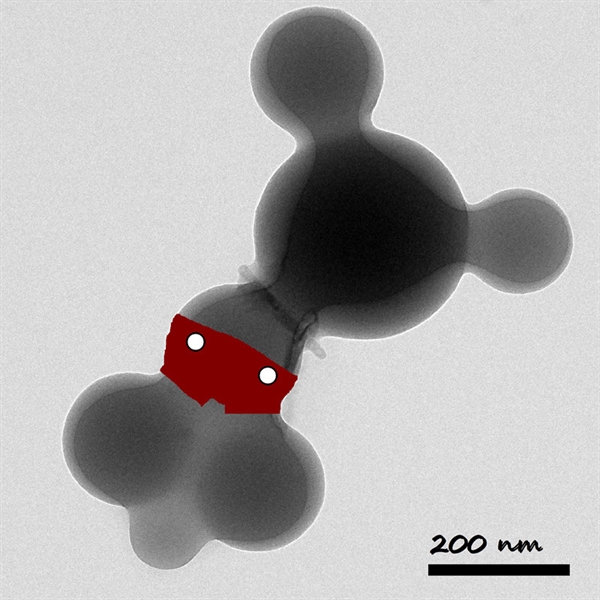 SUBJECT: Micro particles of amorphous SiO2 that represent the emblematic character of disney Micky Mouse ; CREDIT: Saúl García López, Research Laboratory and Advanced Electronic Microscopy, UNIVERSIDAD JUÁREZ AUTÓNOMA DE TABASCO (MÉXICO); METHOD/INSTRUMENT: JEM 2100
