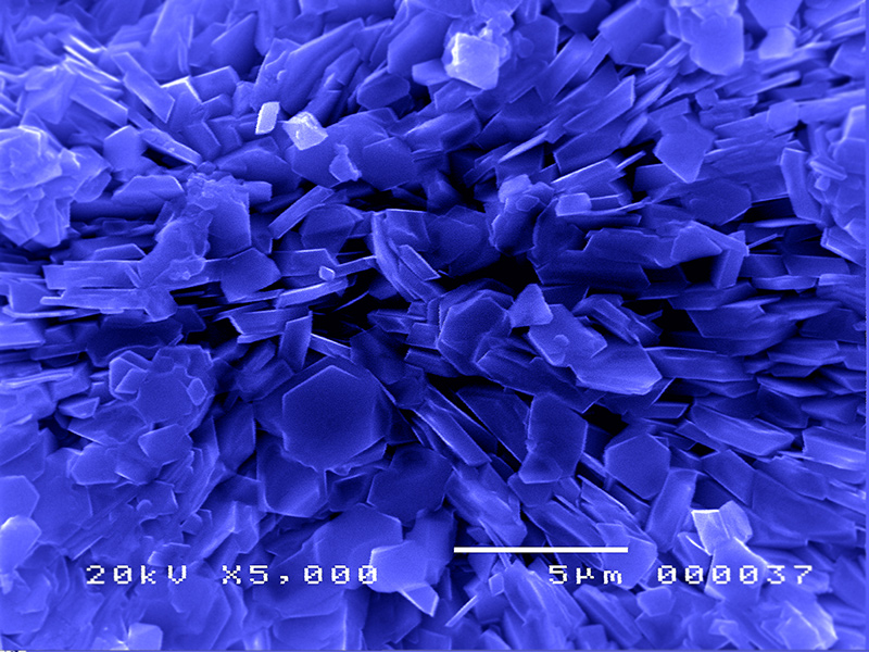 SUBJECT: ZnO nanostructures formed by wet oxidation in water with zinc chloride.; CREDIT: Christian Mak Pelicano, University of the Philippines Diliman (grad student); METHOD/INSTRUMENT: JEOL JSM-5300