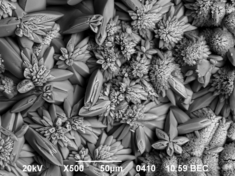 TITLE: Stone flowers; SUBJECT: The image of the morphology of galium arsenide nanocrystalline surface; CREDIT: Sergey and Alexander Simchenko, SSTehnology; METHOD/INSTRUMENT: JEOL JSM-6490 