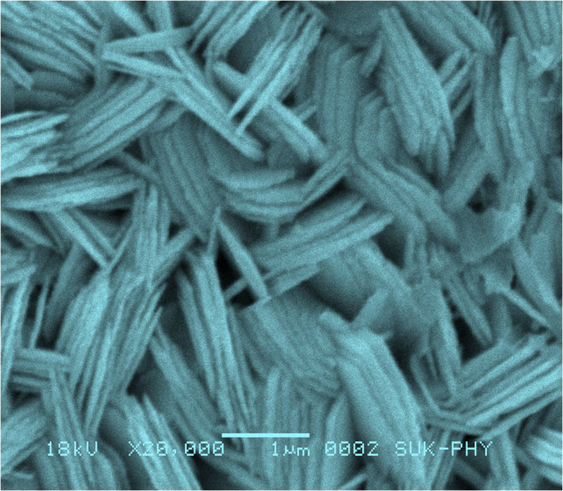 SUBJECT: Hydrothermal Synthesis of WO3 thin films for Electrochromism application; CREDIT: Satish Patil, Shivaji University; METHOD/INSTRUMENT: JEOL SEM