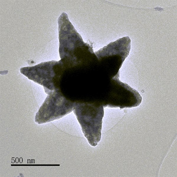 SUBJECT: ZnO stars, multipods and ellipsoids were synthesized by mixing Zn(NO3)2 and NaOH solutions at once under stirring condition at room temperature ; CREDIT: Ravinder Singh - IISER MOHALI; METHOD/INSTRUMENT: JEOL JEM-F200 TEM