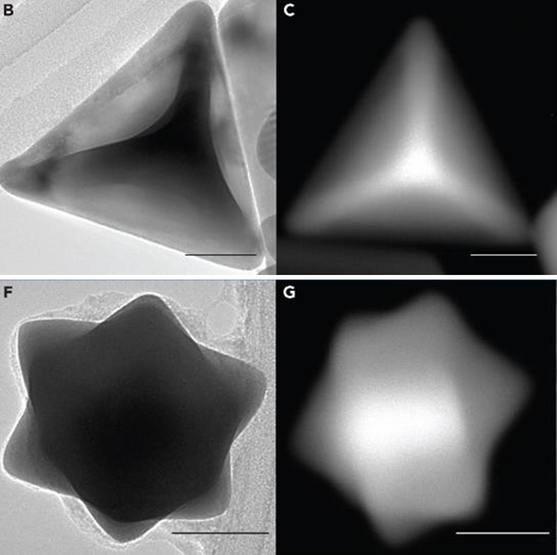 Figure 2: Respective wide-field and DF-STEM imaging of shape-directed gold nanoparticles concave tetrahedra (B, C), stella octangula (F, G)