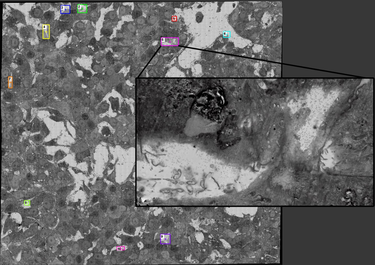 Large area scan made with the JSM-7800F SEM using SEM Supporter. Inset shows the resolution in the regions of interest. 