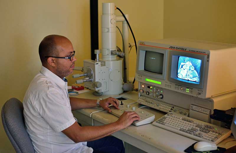 José R Almodóvar using the SEM
