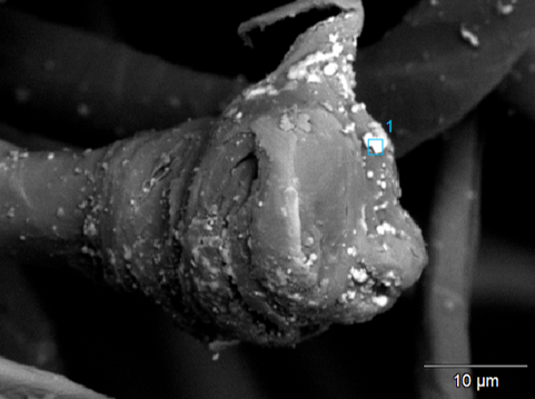 BSE image of polyester fibers where you can see the lead particles