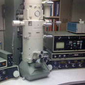 Image Alt Text