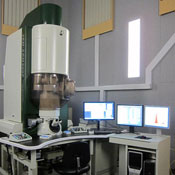 Image Alt Text