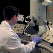 Image Alt Text