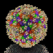 Image Alt Text