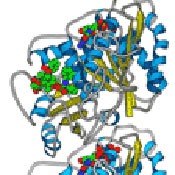 Image Alt Text