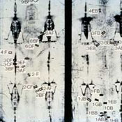 Image Alt Text