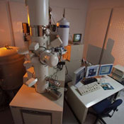 Image Alt Text