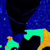 Image Alt Text
