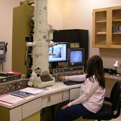 Image Alt Text