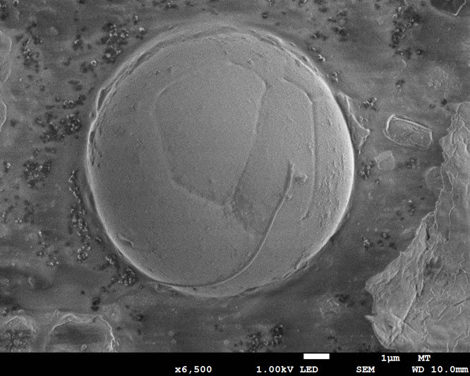 GSR particle observed at low voltage to see surface detail