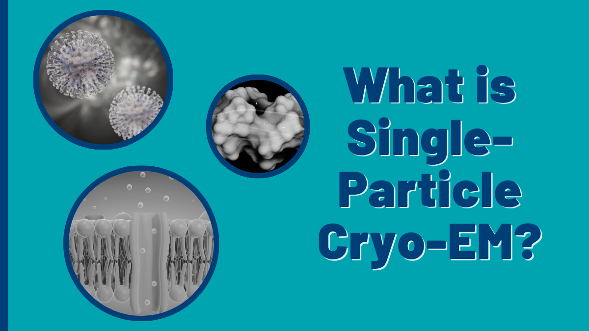 JEOL USA blog | What is Single Particle Analysis & How Does it Wo