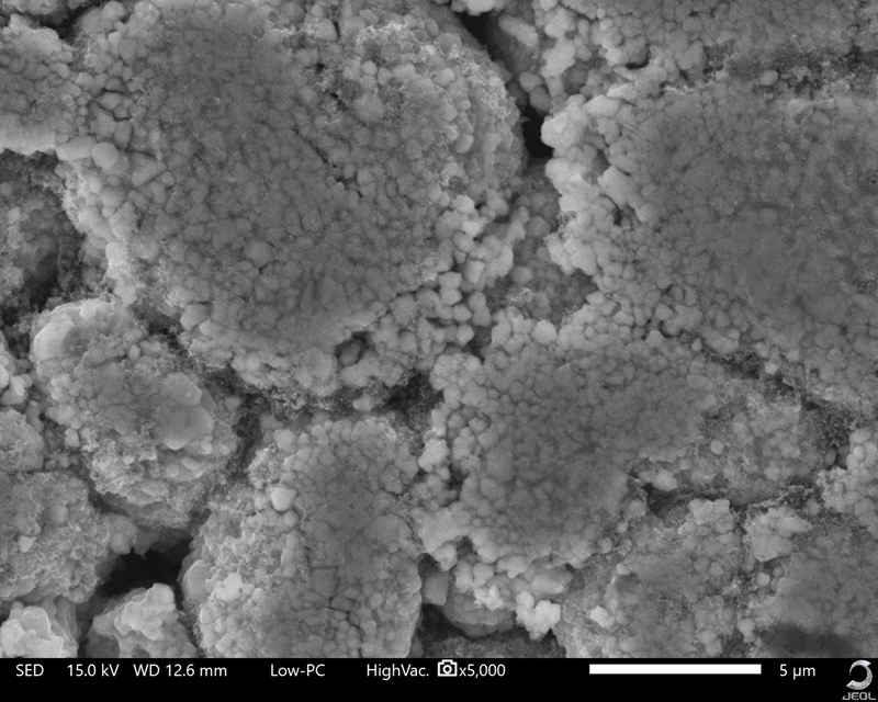 Benchtop SEM cathode