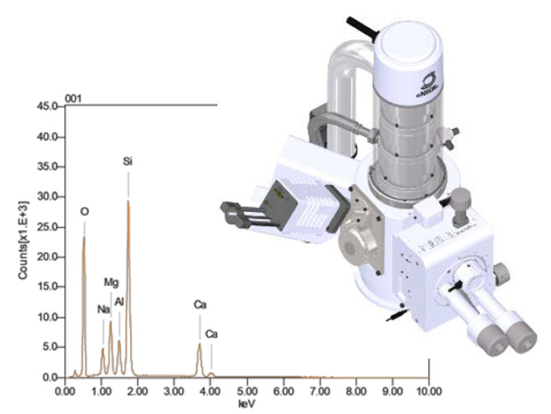 SEM column and typical EDS spectra