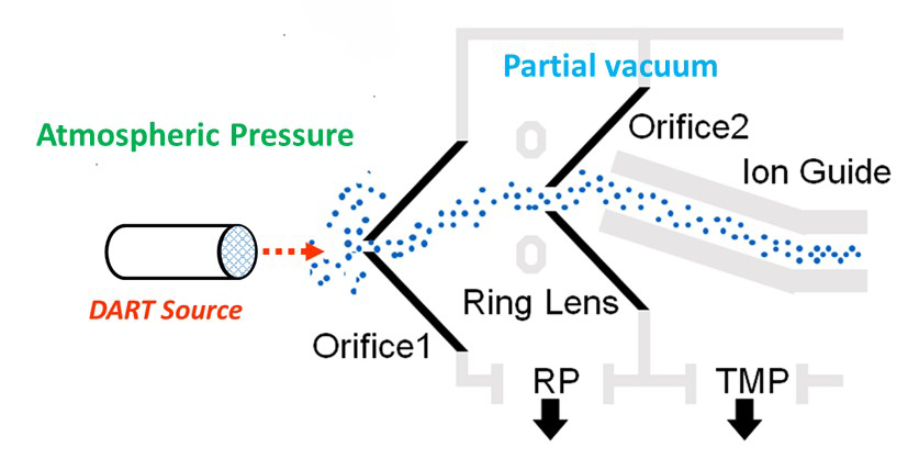 Schematic of atmospheric pressure interface for the AccuTOF-DART mass spectrometer