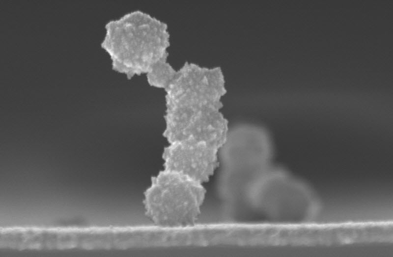 Take a Bow!: Platinum nanocrystals grown vertically during electroless deposition. The growth pattern is due to rapid nucleation.
