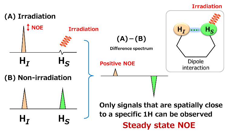 Difference NOE Measurement
