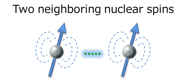 Two neighboring nuclear spins
