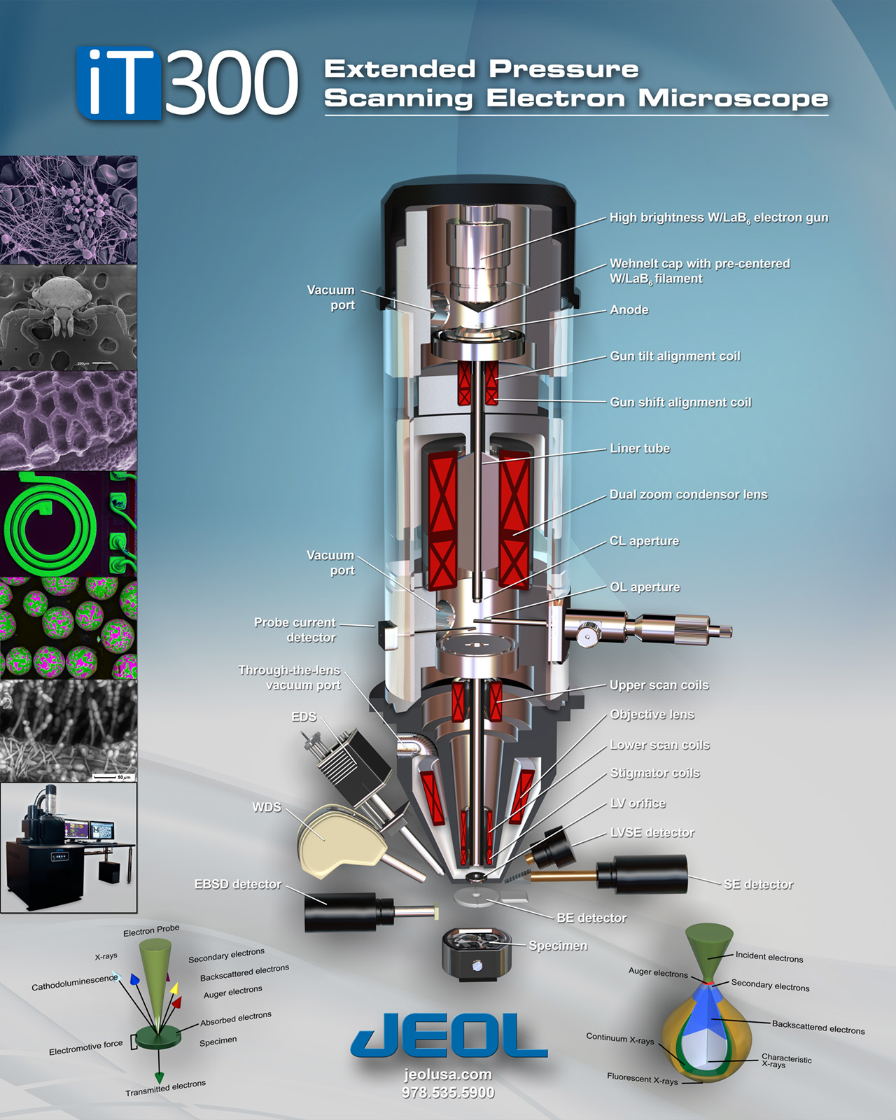 Posters | Calendars | EPMA | SEM | TEM | JEOL USA