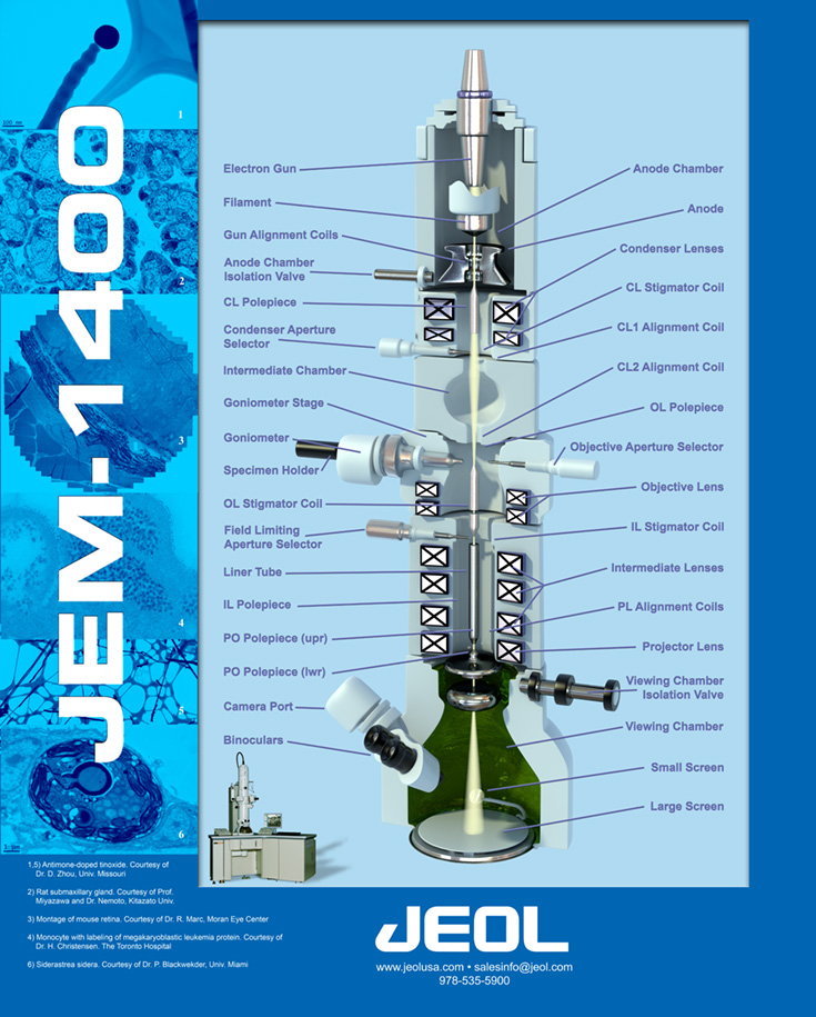 JEOL JEM-1400 TEM column poster